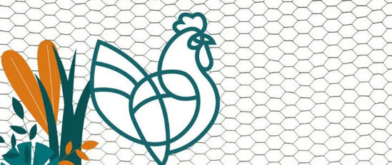 Afbeeldingen van Gaas, Zeskant GROEN